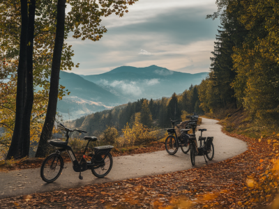 Wo du in wettingen e‑bike‑guides für naturnahe tours buchst und welche strecken sich für entspannte tage eignen