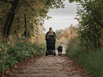 Wo du in wettingen barrierefreie naturpfade mit kinderwagen und hund findest