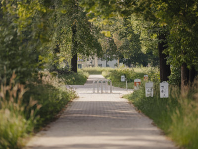 Joggingrunden für anfänger in wettingen: strecken, tempo und sicherheitshinweise